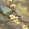 Шерстяной ковер Hunnu Цветы 6A1555-165